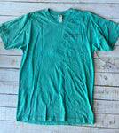 Short Sleeve Gradient Turtle T-shirt, Chalky Mint